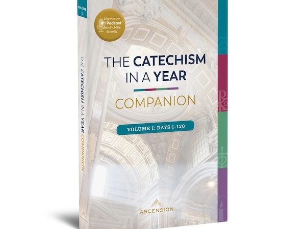 The Catechism in a Year Companion, Volume I